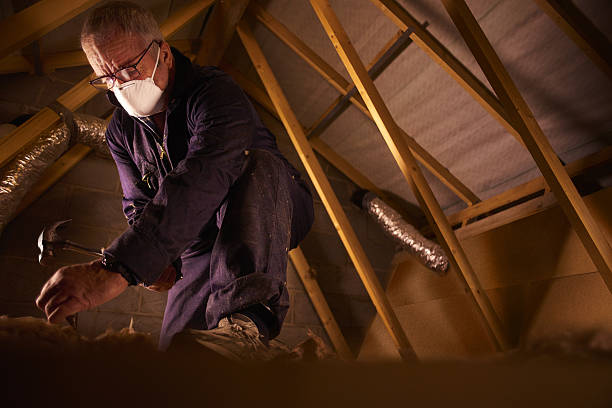 Types of Insulation We Offer in Murphysboro, IL